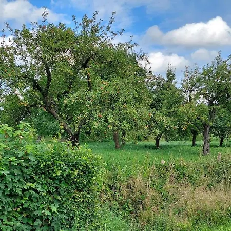 Hof Aniol Nyaraló Pronstorf